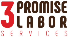 3 Promise Labor Logo